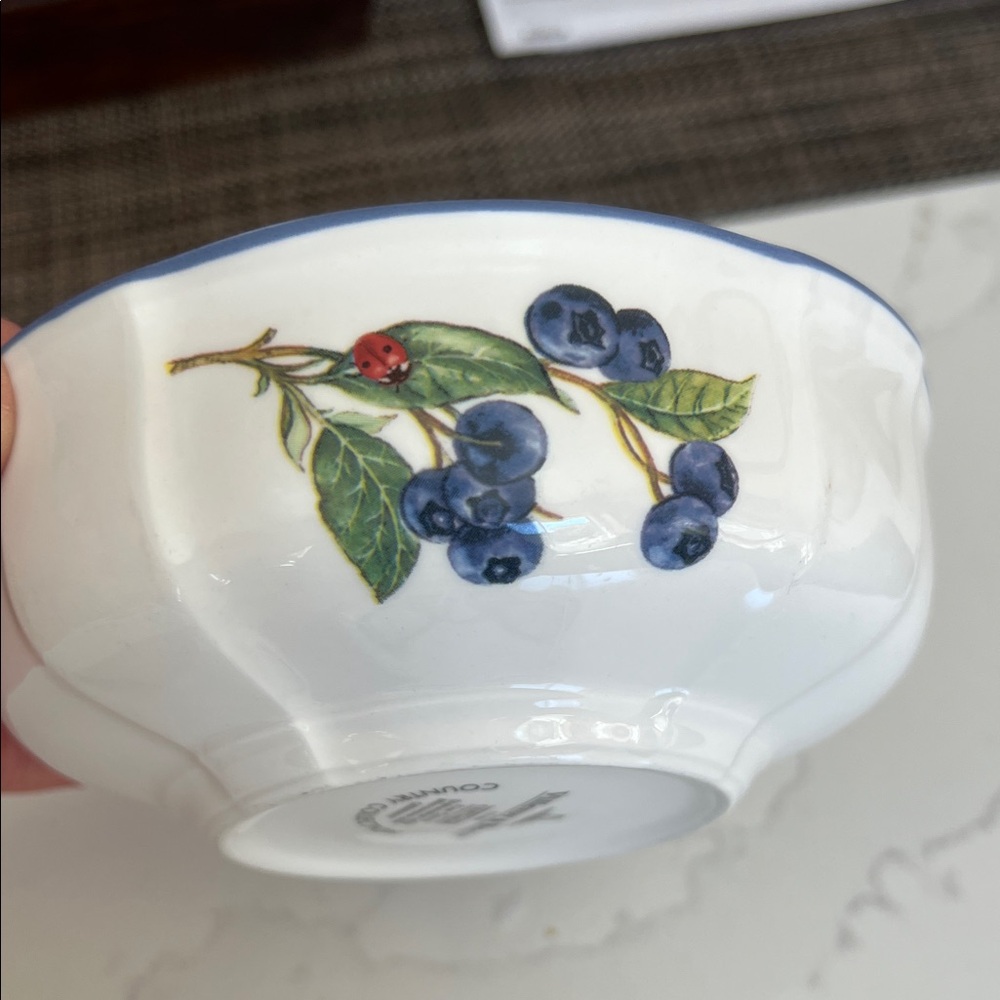 Villeroy & Boch Blueberry & Ladybug fine China cereal Bowl County Collection